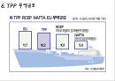 TPP 합의 및 TPP(Trans-Pacific Partnership)에 대한 이해 (TPP,TPP합의,환태평양경제동반자협력체제 및 Trans-Pacific Partnership) 13페이지