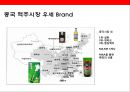 중국 맥주 시장의 이해& 맥주 메이저 3개 브랜드 성공사례 9페이지