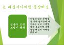 리엔지니어링과 리엔지니어링기업사례 PPT(경영전략과지식경영, 리엔지니어링이론정리) 4페이지