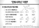 화려한 변신, 안토시아닌antocyanine production 의 효과 8페이지