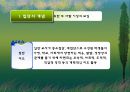 청소년집단상담 PPT(집단상담자의역할, 집단원의역할, 청소년집단상담기술, 청소년상담기술)프레젠테이션 3페이지