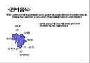 ★ 동북아사회문화 - 일본 식문화 25페이지