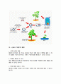 GMO 식품 건강과 식품영향 5페이지