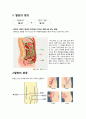 ★ 성인간호학 - 탈장 ( 정의, 종류, 원인, 증상, 치료, 합병증, 간호, 예방방법 )  3페이지