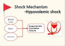 ★ 병리학 - 쇼크(shock, Shock Mechanism, Hypovolemic Shock, Cardiogenic Shock, Distributive Shock , Anaphylactic Shock, Septic Shock, Neurogenic Shock ) 5페이지
