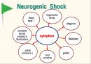 ★ 병리학 - 쇼크(shock, Shock Mechanism, Hypovolemic Shock, Cardiogenic Shock, Distributive Shock , Anaphylactic Shock, Septic Shock, Neurogenic Shock ) 16페이지