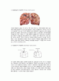 ★ 성인간호학 - 폐결핵 ( 정의, 발병원인, 증상, 진단, 검사, 치료, 간호, 합병증, 예방법 ) 5페이지