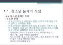 청소년 문제의 내용과 특성 11페이지