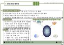 사업계획서(인천논현지구오피스텔신축) 68페이지