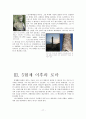 5현제는 누구인가 [출현 배경 및 당시 로마의 상황, 국제적 정세, 네르바 - 혼란의 종식, 트라야누스 - 지고의 황제, 하드리아누스 - 로마 평화와 제국의 영원, 안토니누스 피우스 18페이지