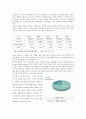 하이닉스 [반도체산업] 24페이지