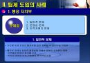 행정조직의 팀제 도입-무엇이 문제인가  12페이지