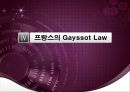 5.18 민주화 항쟁의 민주적 정당성,5.18 민주적 정당성,프랑스의 Gayssot Law,국가폭력과 연관성 33페이지