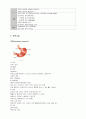 위암 case study [ 대학병원 성인간호실습 위암 케이스스터디 ] 5페이지