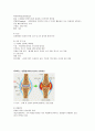 골관절염 / 류마티스관절염 비교 및 정리 2페이지