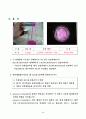 6,10의 계면중합 11페이지