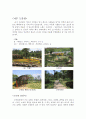 순천만 국제 정원 박람회 레포트(느낀점 및 사진첨부) 3페이지