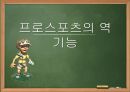 프로스포츠의 역기능  1페이지