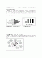 세대간의 삶의 양식과 의식구조 차이 18페이지