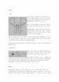 수영을 배우는 방법 11페이지