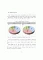 국내 기업들의 글로벌 경쟁력을 강화시키기 위한 화장품 산업의 발전 전략 18페이지