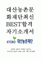 대산농촌문화재단 최신 BEST 합격 자기소개서!!!! 1페이지