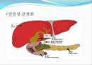 간경화&담낭염 사례관리 케이스 9페이지