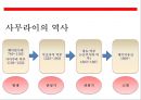 사무라이(はらきり)의 이해(사무라이 정신.역사.특권.기원.현대에 발현) 17페이지