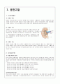 만성신부전 케이스스터디 (CRF CASE STUDY) 1페이지