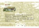 조선시대 궁궐건축 - 경복궁 (소개, 광화문, 근정전, 사정전, 분합문, 겨오히루, 침전, 대청) 15페이지