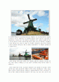 네덜란드의 풍차와 튤립 문화 관광  4페이지