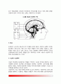 [신경계 구조] 신경계의 구조와 기능(말초신경계, 중추신경계) 5페이지