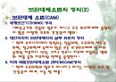 [보완대체요법] 보완대체요법의 정의, CAM의 정의, 우리나라 보완대체요법의 실태, 외국의 보완대체요법, 보완대체요법과 간호 3페이지