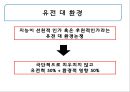 정신지체 평가 6페이지