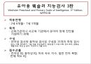 정신지체 평가 14페이지