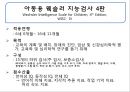 정신지체 평가 18페이지