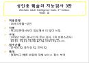 정신지체 평가 21페이지