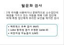 정신지체 평가 26페이지