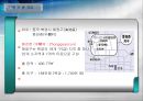 중국 과학기술 발전과 현황  44페이지