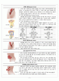 성인간호학, 서혜부 탈장 CASE 4페이지