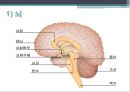 신경계환자 간호(신경계구조와기능,신체사정,의식수준의5단계,GCS,MMT,동공반응검사,진단검사,TCD,경동맥초음파검사,대상자간호,경련환자 간호, 무의식환자 간호,ICP상승환자 간호) 8페이지