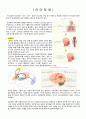 언어장애 문헌고찰 1페이지