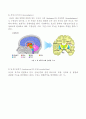 신경계 구조, 기능, 사정 2페이지