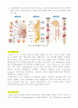 신경계 구조, 기능, 사정 4페이지