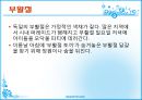 독일의 축제 30페이지