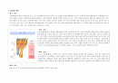 Burn case study 2페이지