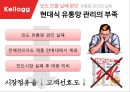 켈로그 기업분석과 켈로그 글로벌마케팅(인도) 전략사례분석과 켈로그 향후전망분석 PPT 19페이지