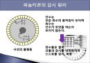 파놉티콘  5페이지