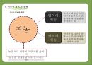 귀농 - 성공사례를 바탕으로 한 성공요인분석  9페이지