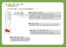 귀농 - 성공사례를 바탕으로 한 성공요인분석  16페이지